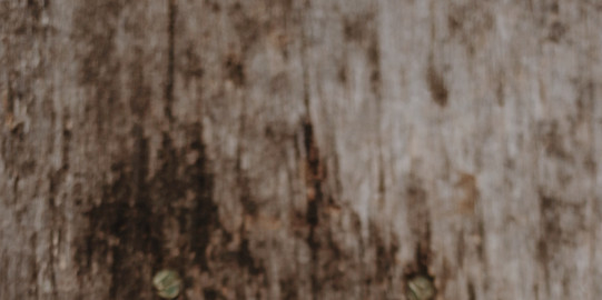 Aufgeschlagenes Buch Aufgeschlagenes Buch liegt auf einem Holztisch.