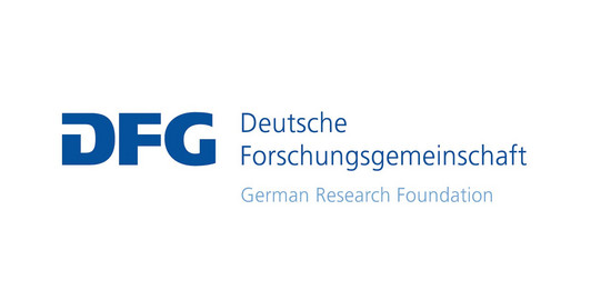 DFG Logo